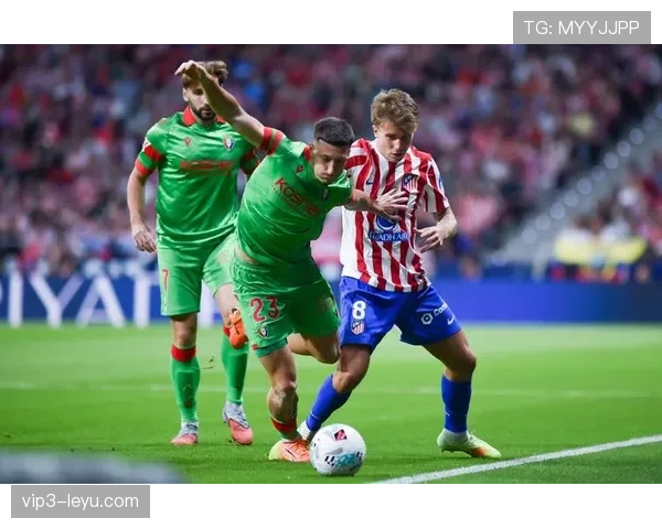 奥萨苏纳新赛季关键球员曝光，能否率队实现突破引关注