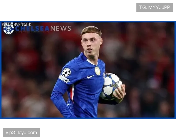 帕尔默加盟切尔西最新消息